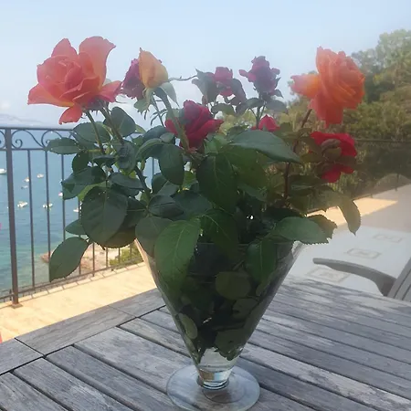 Appartement Cannes La Coraillère Théoule-sur-Mer